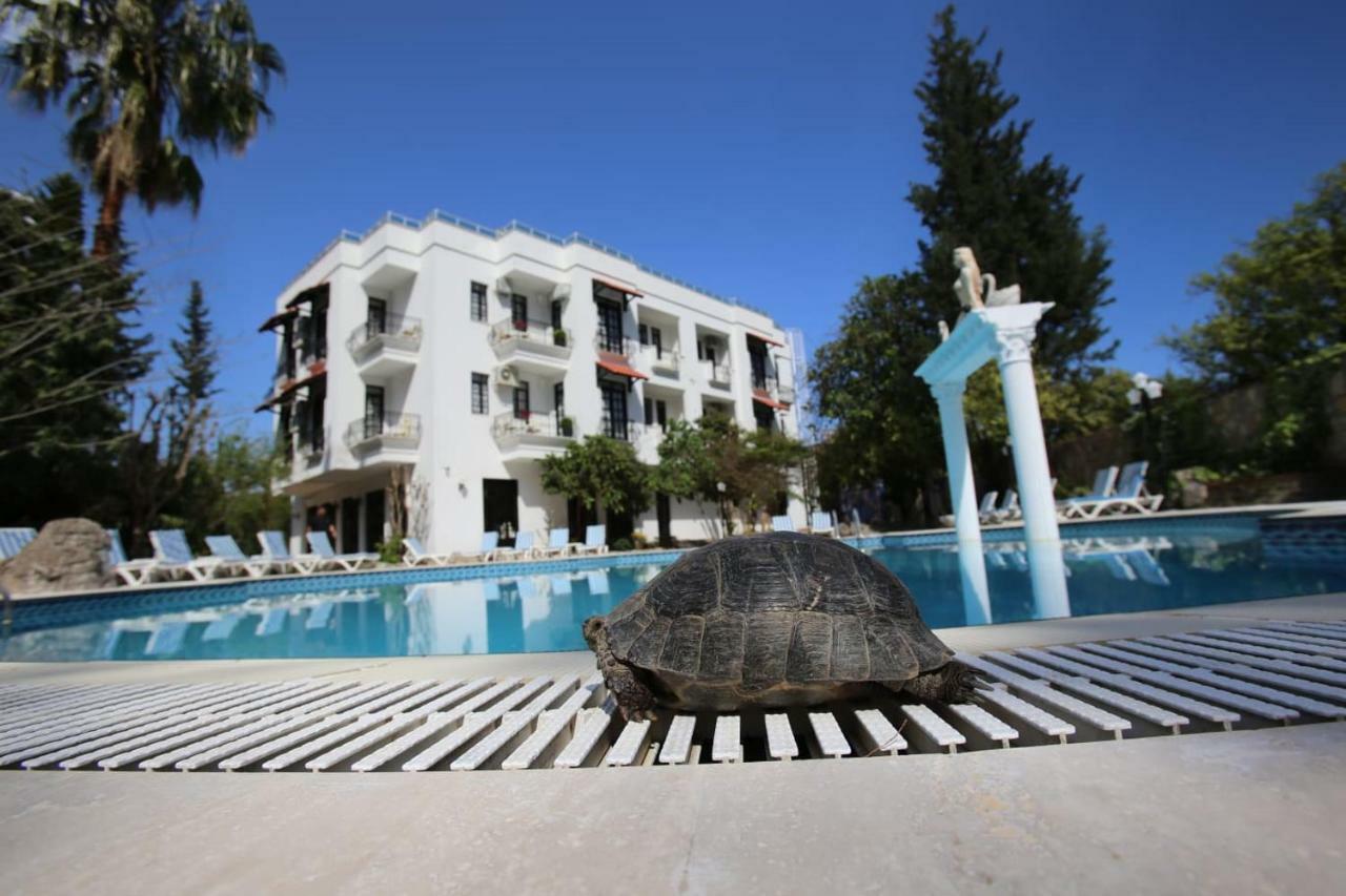 Green Valley Hotel Kemer Zewnętrze zdjęcie